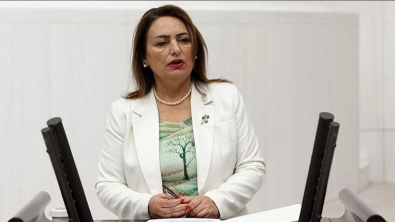 Müzeyyen Şevkin Meclis'te Sordu: “Milli Eğitim Akademisi Kime Hizmet Edecek?”