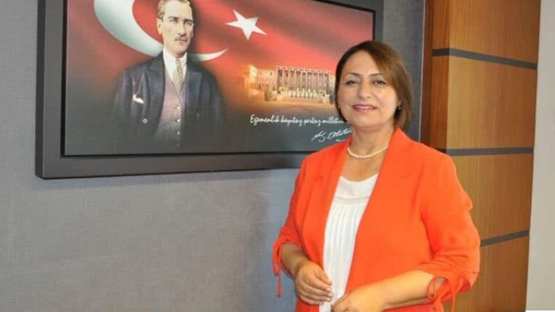 Müzeyyen Şevkin “Zeytinlikler Madenciliğe Kurban Ediliyor”
