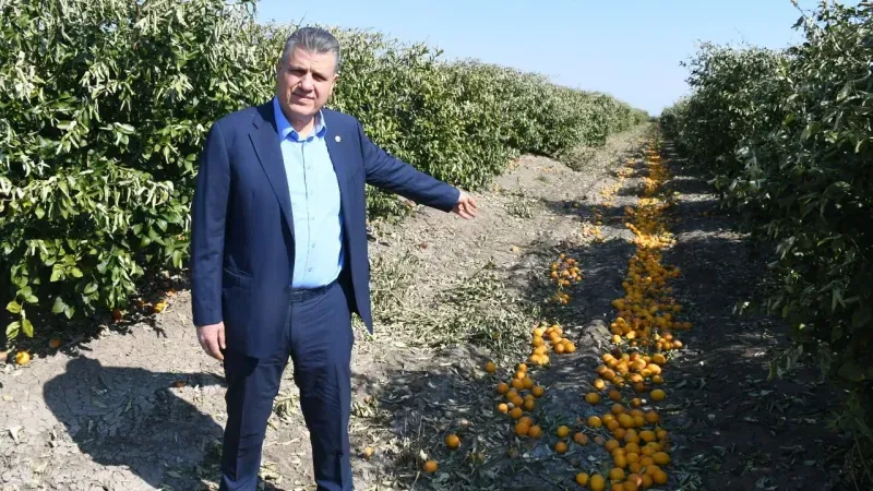 CHP’li Barut’tan Limonda İthalat Kararına Sert Tepki