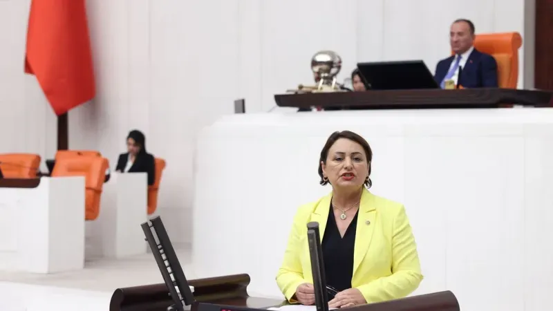 Kadın Sığınmaevleri Meclis Gündeminde: Şevkin’den Bakanlığa Soru Önergesi