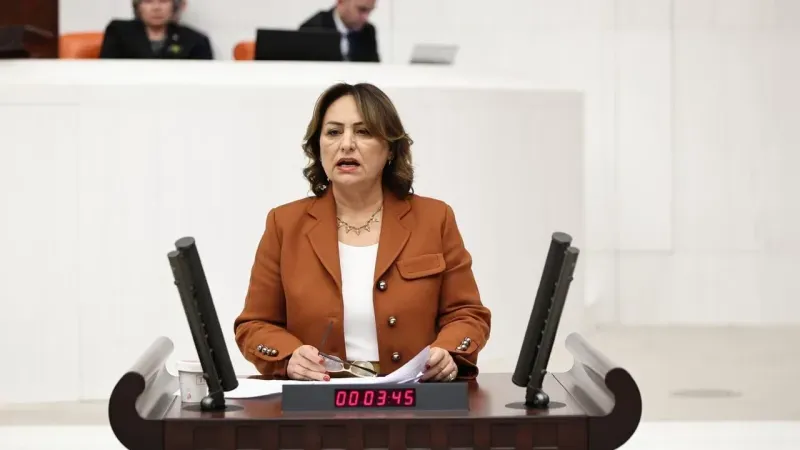 CHP'li Şevkin'den Meclis'te Uyarı: Jeoloji Bilimi Dışlanamaz